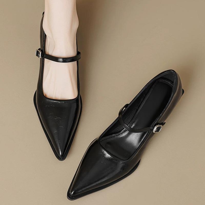 Fashion 2025 New Spring and Autumn Women's Mary Jane Pointed Shoes Korean Style Ladies' Casual High Heels Work and Party Wear