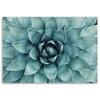 Canvas print, Blue aloe