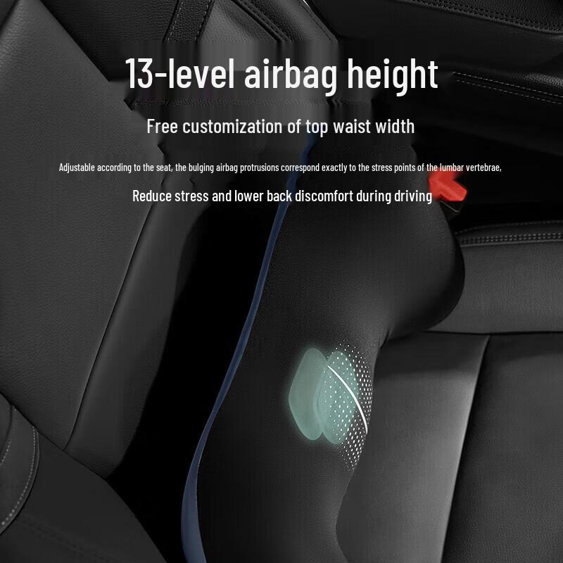 Philips PPM3404B Electric Airbag Lumbar Massager