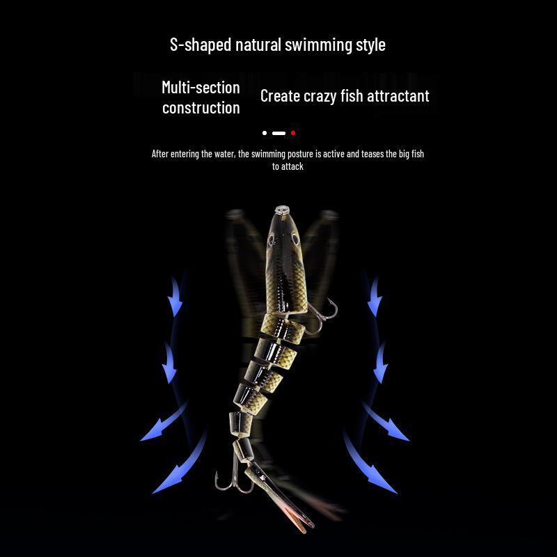 9-Section Bionic Loach Soft Bait Set: Long Cast, Slow Sinking, 10cm/10g, Realistic Fishing Lure