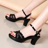 Women's Summer Fish Mouth Mesh Comfortable Shoes High Heel Elegant Casual Sandals
