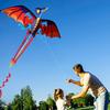 Upgrade Classical Dragon Kite, Easy to Fly for Beginners and Adults, 63-Inch Single Line with Tail