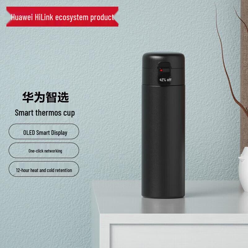 Haers 450ML 316 Stainless Steel Thermos with Tea Infuser