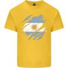 Torn Argentina Flag Argentinian Day Football Unisexs Light Cotton Tshirt