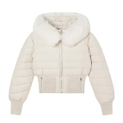 Cotton-padded Jacket Winter New Fashion Design Waist Hooded Down Padded Jacket for Small Women