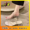Internet Celebrity Cool Slippers Female Summer Wear 2025 New Fairy Style Crystal Thick Heel Platform Sandals Internet Celebrity High Heels