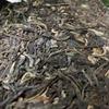250g Island Puerh Raw Tea Brick 2008 Mengku Pu-erh Sheng Tea Yunnan Pu'er Tea