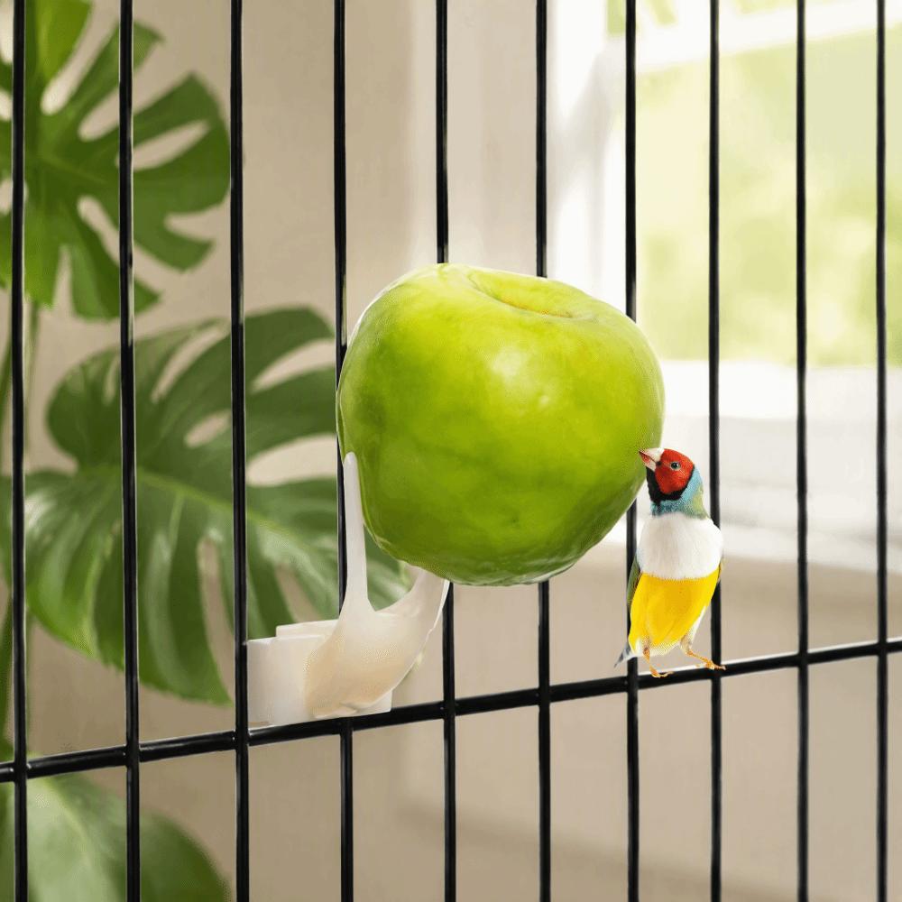 20pcs Plastic Bird Fruit Fork Dual Prong Design Pet Food Holder  Daily Feeding