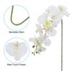 6pcs Artificial Orchid Stems 41" 9 Heads Faux Phalaenopsis Flowers Real Touch Fake Orchid Flower Branch for Vase Home Wedding