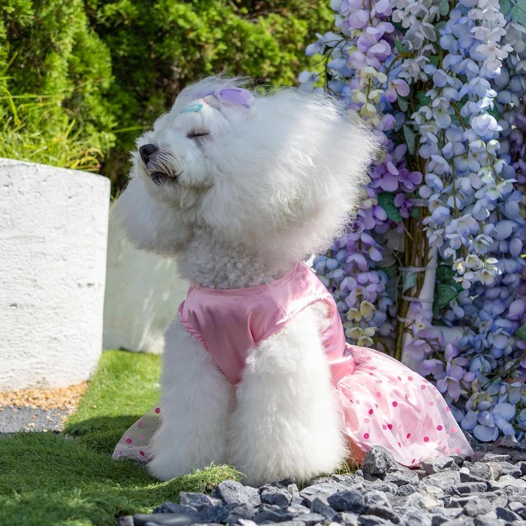 CuteBone Dog Dress Birthday Girl Puppy Princess Clothes Costume Cat Apparel Small Dogs Pet Outfit DD20S