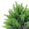 Artificial Cedar Topiary Trees Christmas Decorations Indoor Outdoor Small Fake Realistic Greenery Cedar Pine Tree