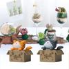 Cat Figurines Exquisite Lovely Gardening Doll Solid Model Creative Micro Landscape Cardboard Box Cat Mini 3D Cartoon Animal Models Desktop Ornaments