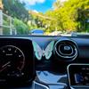 Dynamic Butterfly Car Vent Clip - Colorful Embroidered Wings, Easy to Install, Durable Fabric, Unique and Beautiful Car Decorati