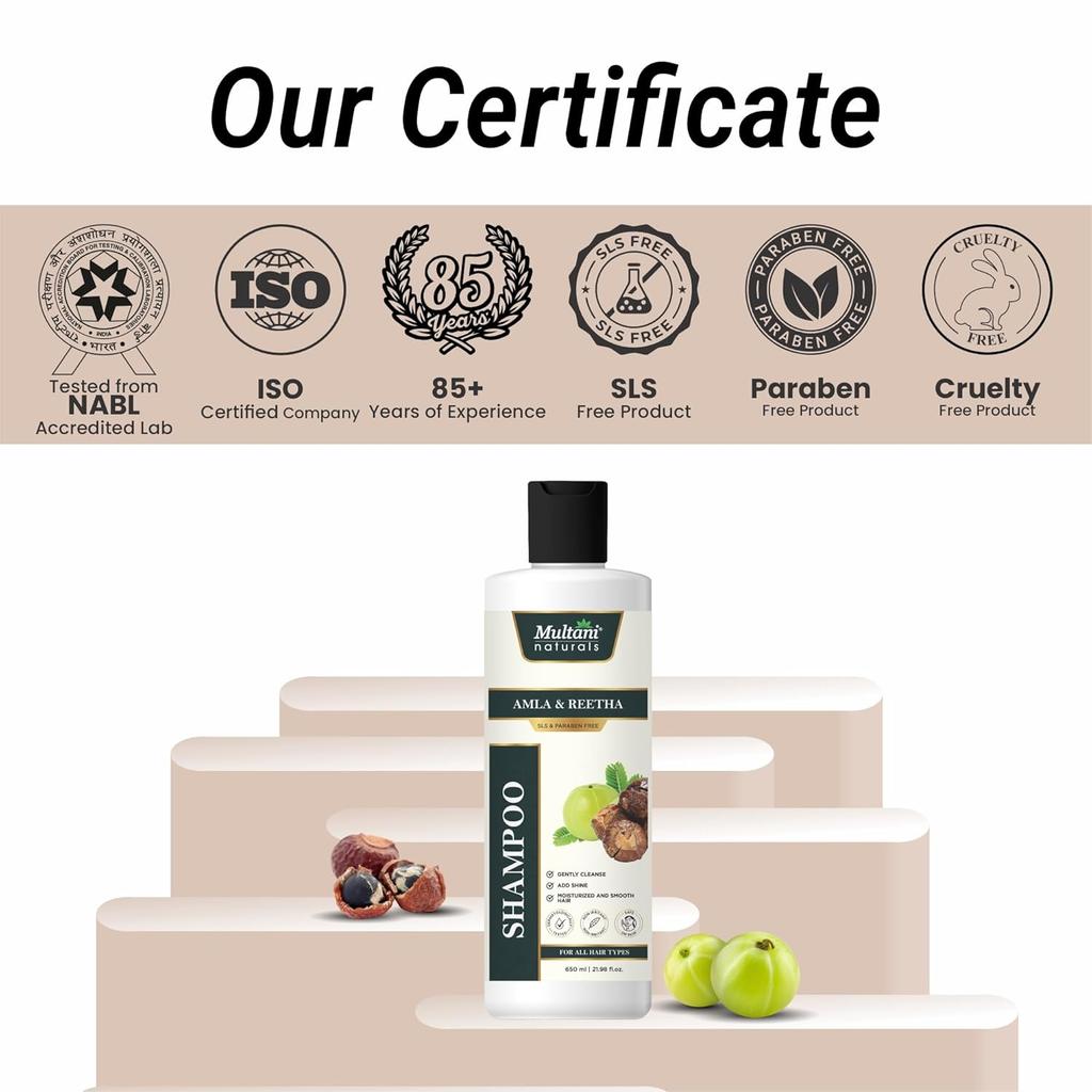 Multani Natural Amla & Reetha Herbal Hair Shampoo 650 ml Natural Cleansing Shine Boost Gentle Daily Care For Hair Types