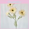 African Gerbera Jamesonii Bolus Wedding Decor For Home And Event Use