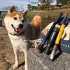 Tailwalk Outback Puppy S48UL-T 4.8ft