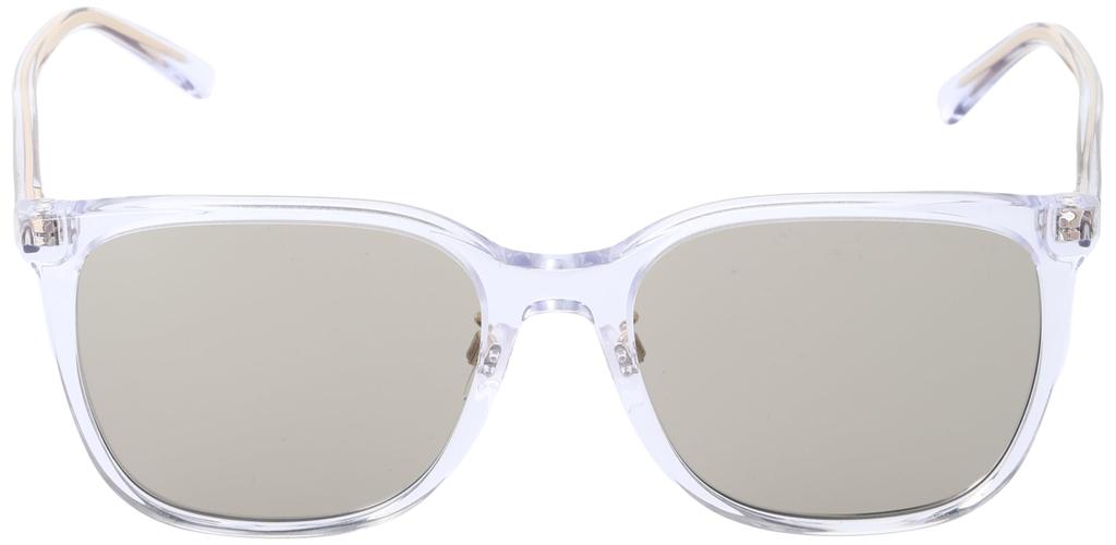 Sunglasses EA4206D SHINY CRYSTAL BROWN Lens 57 [Emporio Armani] Frame/LIGHT