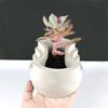 Stampo per Vaso da Fiori in Silicone Stampo per Piantine Succulente Stampo in Cemento e Gesso Stampo Rotondo in Cemento di Cemento per Portapenne Fai da Te, Decorazioni per la Casa