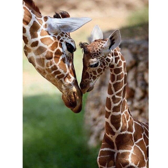 5D DIY Diamond Painting Giraffe Full Square/Round Drill Rhinestone Handcraft Kits Diamond Embroidery Animals Home Decoration