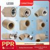 Liansu PPR Male Thread Straight Connector