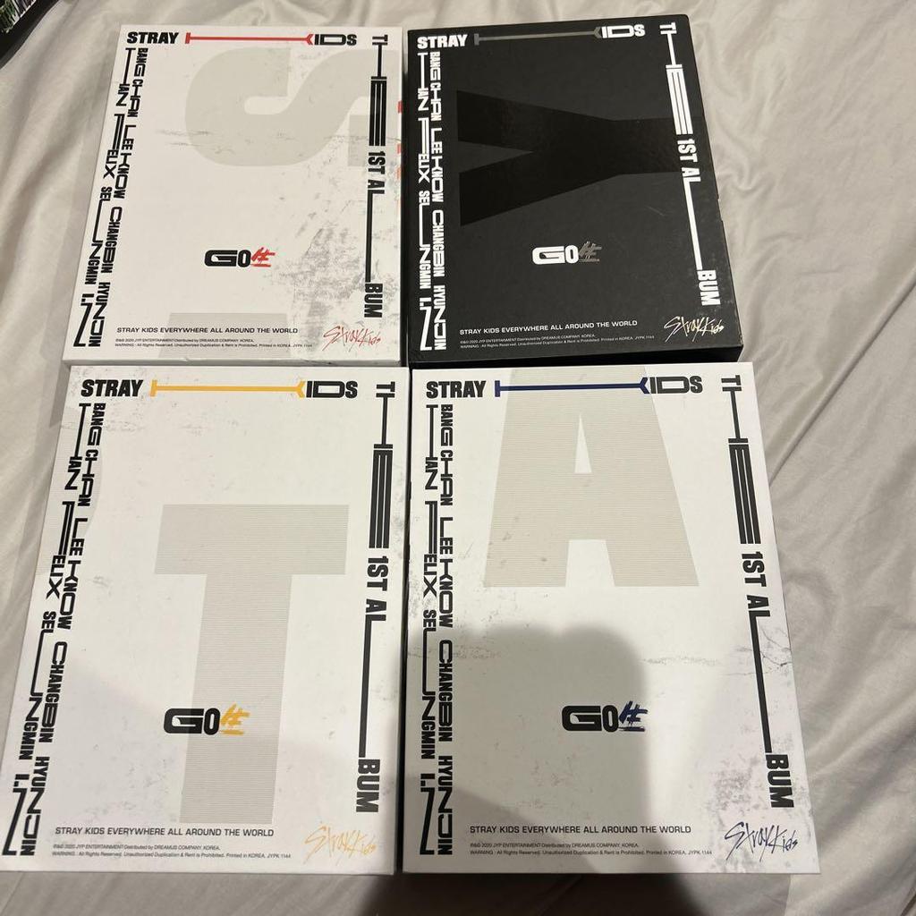 [USED] Straykids Go Raw