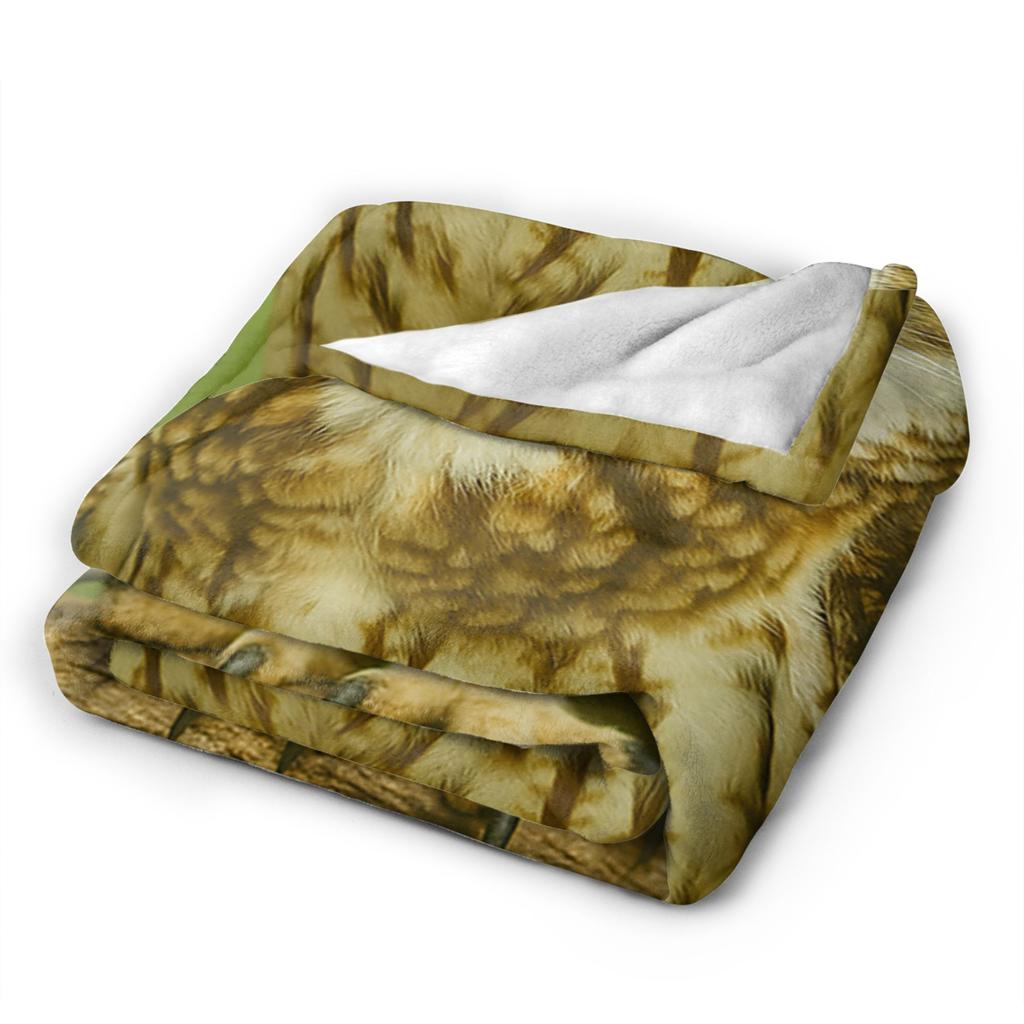 Meowl Gatto Gufo Divertente Internet Trendy Meme Coperta Super Calda Morbida Peluche Coperta Plaid Per Divano Letto Flanella Copriletto Coperta da Letto