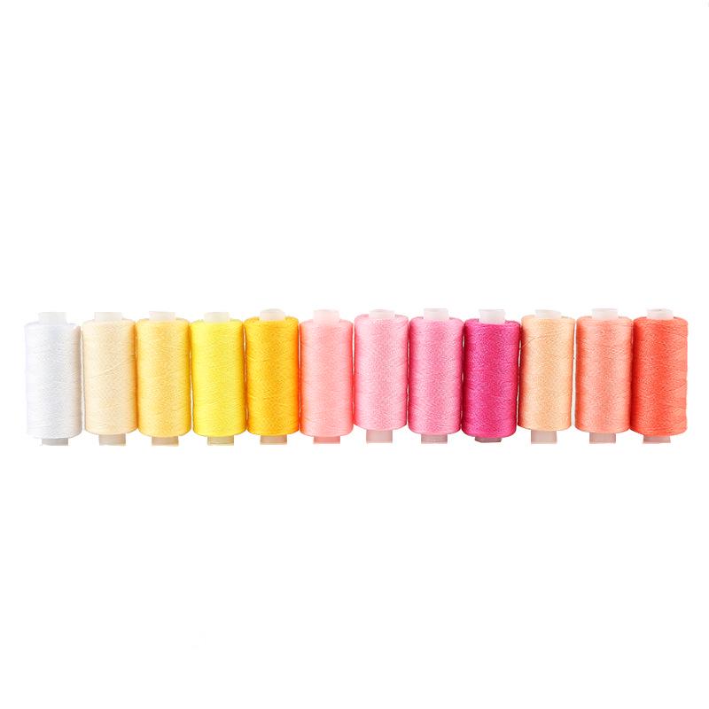 100-Color Polyester Sewing Thread Set for Hand and Machine Sewing