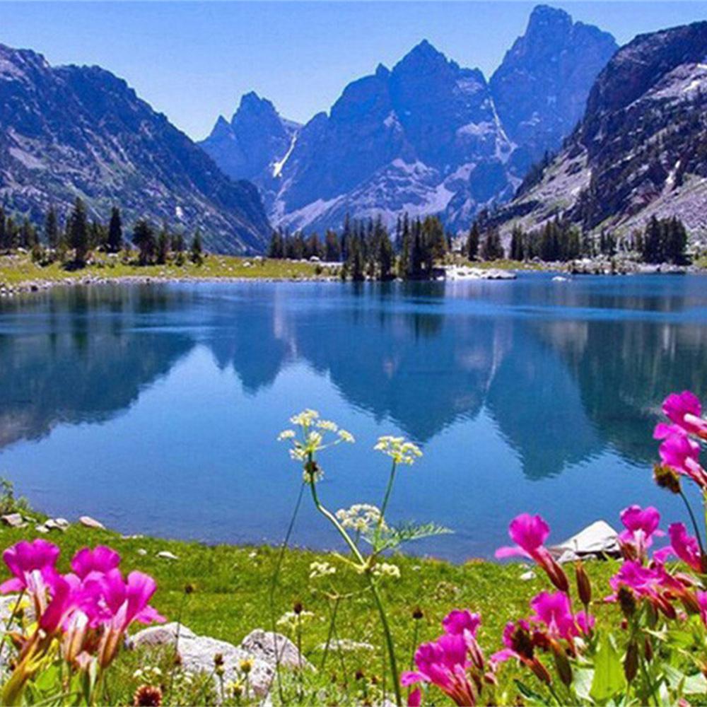 MomoArt Diamond Painting Blumen Vollrunde Bohrer Diamantmosaik Berg 5D DIY Kunst Perlenstickerei Landschaft Heimdekoration