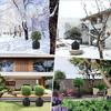 Multifunctional Plant Guard Portable Garden Plant Protector Shield Functional Fabric Durable Waterproof Cover