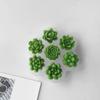 Decorative Creations Mould Silicone Succulent Plant Mold for DIY Crystal Epoxy Resin Crafts And Aromatherapy Candles