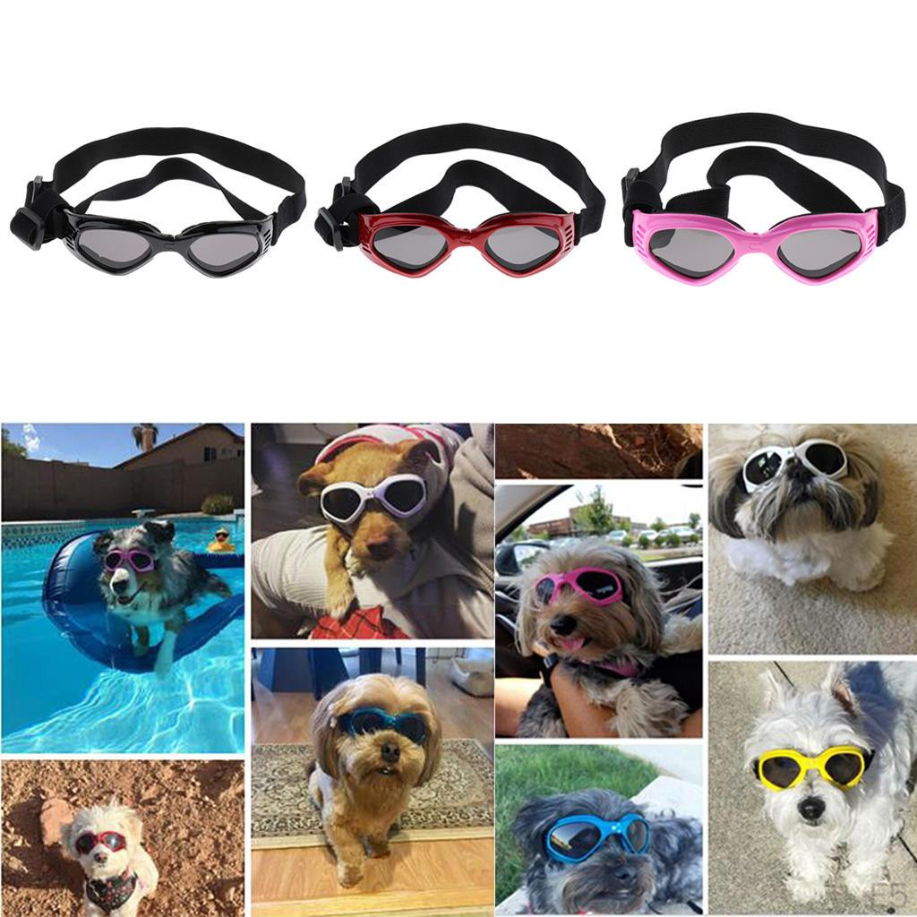 Medium Dogs Goggles Sunglasses