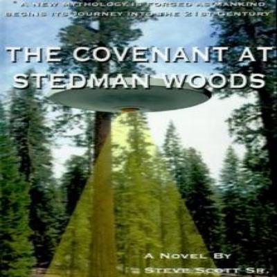 The Covenant At Stedman Woods by Steve Scott Paperback Book 9781587212536