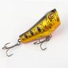 5.5CM/9G Topwater Fishing Lure with Double Hooks Realistic Floating Bionic Artificial Plastic Hard Bait Freshwater Saltwater Fishing Accessories