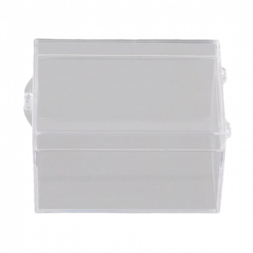 Desktop Storage Box for Insect Specimen Display Clear Plastic (65 characters)