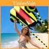 Soft Tailed Insect Kite With Glass Fiber Frame For Childrens Outdoor Play And Gift Giving