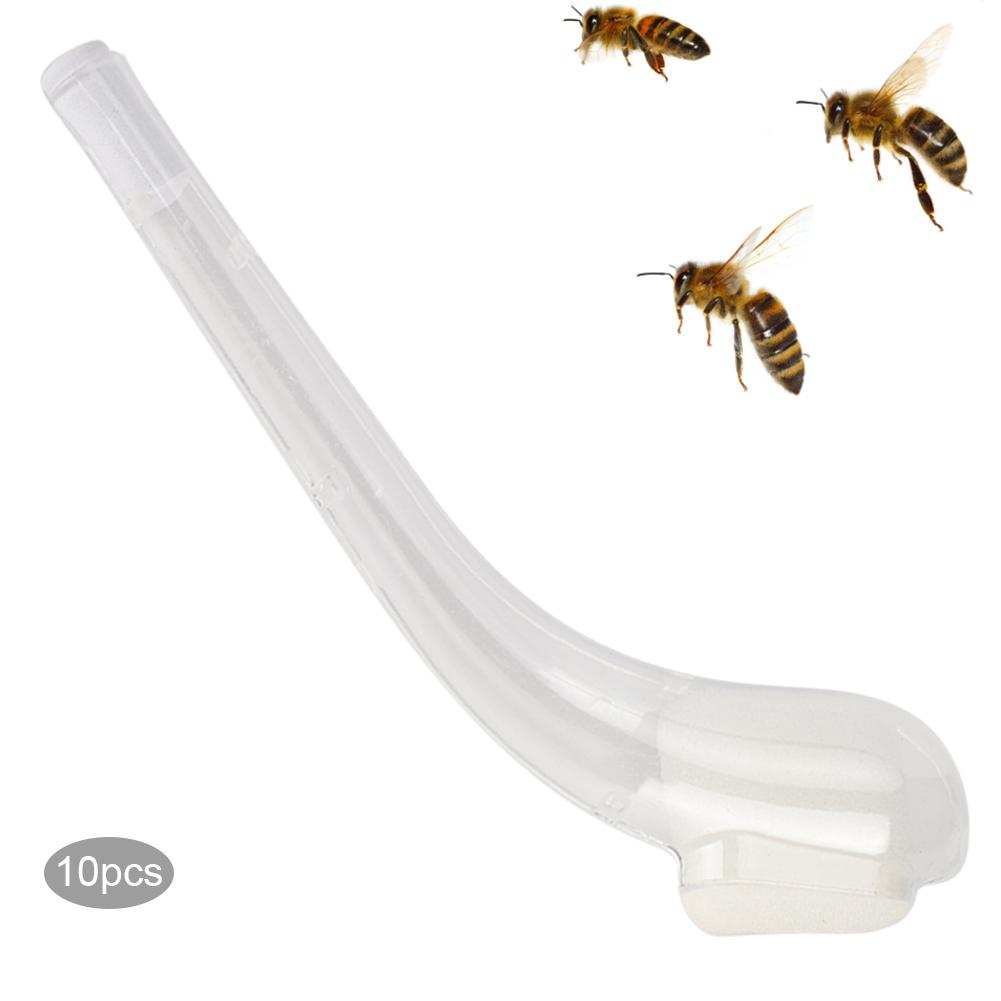 10 Stück Königinnen-Fanglöffel Harmloser Fang Bienenstockwerkzeug Imkerbedarf