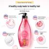 Seeyoung Sweet Encounter Smooth Fragrance Shampoo