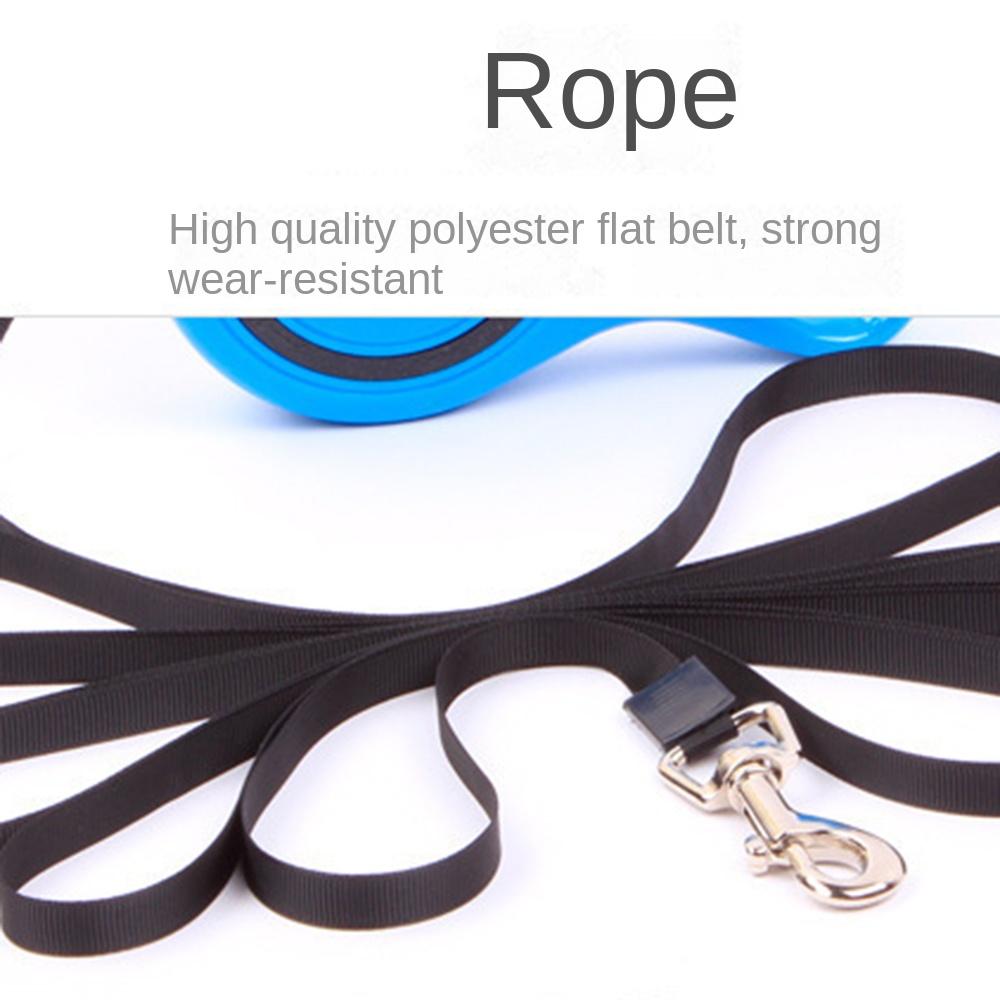 3M 5M Pet Traction Rope Automatic Retractable Cat Lead Leash Dog Leash  Outdoor Walking