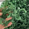10pcs Plastic Plant Clips for Gardening Tomato Vine Support Clips, Black White Green
