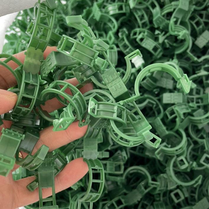 

10pcs Plastic Plant Clips for Gardening Tomato Vine Support Clips, Black White Green vine tie clips темно-зелений колір