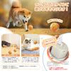 Candykenny 2026 Auto Moving Dog Ball Toy, Self Rotating Obstacle Avoidance LED Light Ball, USB Rechargeable Washable for Small Dogs Cats (Orange)