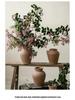 Handgefertigte rote Terrakotta-Vase im Wabi-Sabi-Stil mit doppelten Henkeln - Retro-Grobkeramik für Trockenblumen