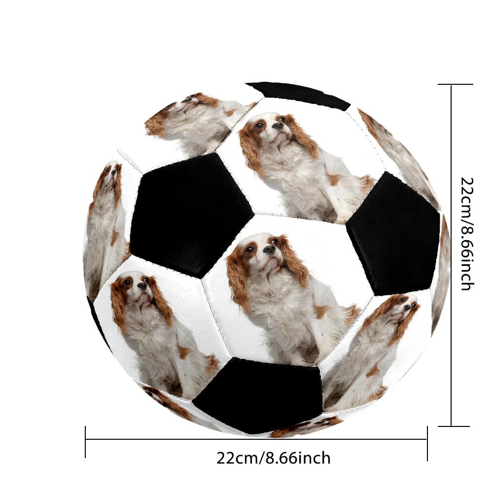 Cavalier Charles Spaniel Personalized photo Size 5 Soccer Ball Machine-Stitched Indoor/Outdoor Universal Football Personalized Soccer Ball