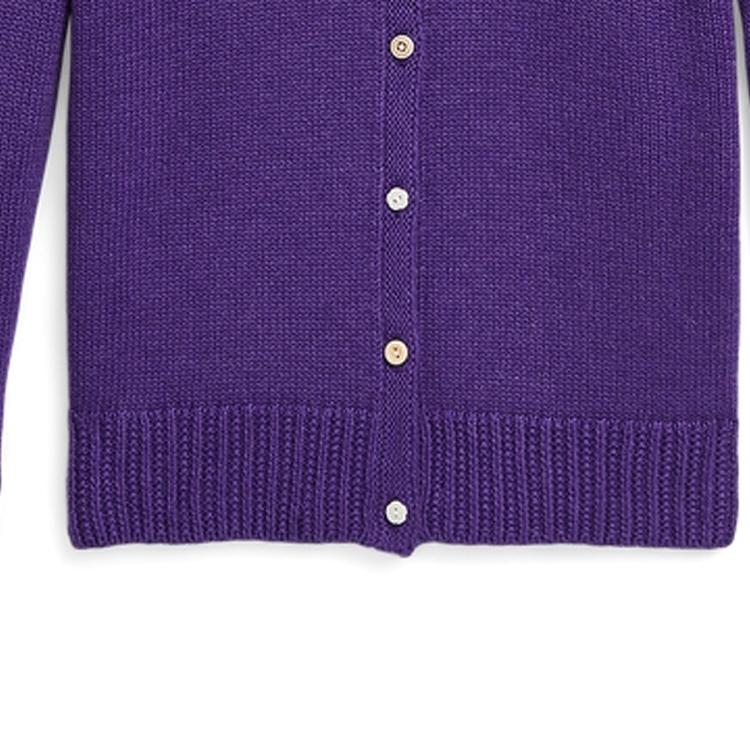 Polo Ralph Lauren Knit Sweater Kids FW23 Crew Neck Striped Trim Single-Breasted Long Sleeve Purple Kids sweater 313916542001
