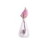 Acrylic Cat Whiskers Collection Ornaments Magnetic Cartoon Cat Hair Storage Memorial Box Black Cat Pushing Vase Decor
