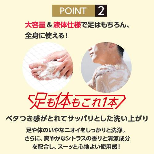 Hisamitsu Pharmaceutical Butenalock Medical Soap Foot & Body (300mL)
