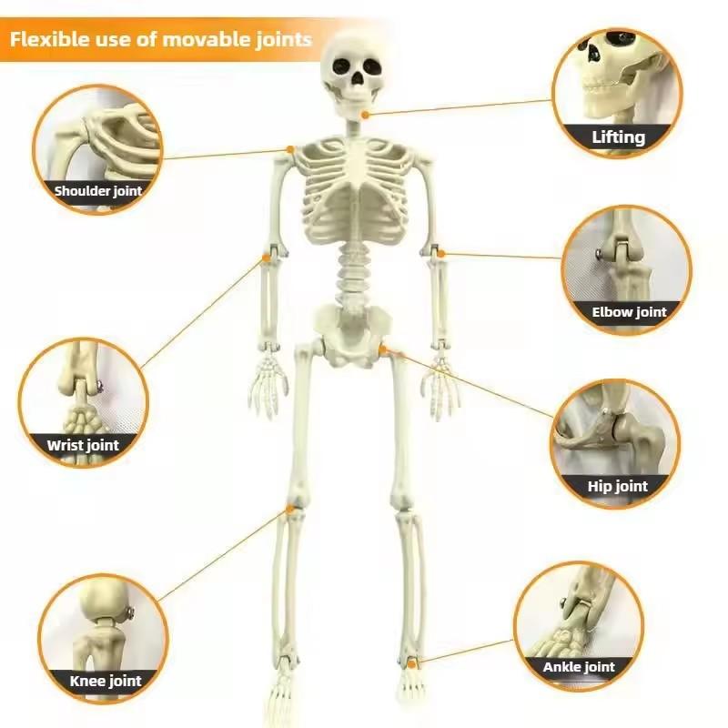 40cm Halloween Human Shape Skeleton,Posable Skeleton,Human Shape Bones,Halloween Herror Decorations,Haunted House Horror Props