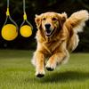 Balle flottante résistante aux morsures pour chiens, un jouet d'entraînement interactif conçu pour prévenir l'ingestion avec un anneau de traction et une corde