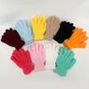 Winter Warm Gloves Stretchy Mittens Adult Coral Velvet Solid Color Full Finger Gloves Skiing Gloves for Cold Weather