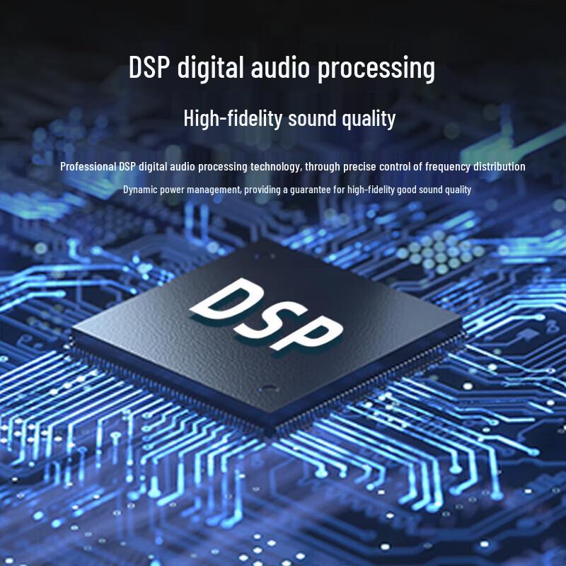 Philips SD617 Portable Bluetooth Karaoke Speaker